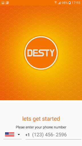 DESTY Screen 2