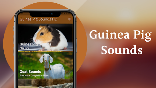 Guinea Pig Sounds Screenshot 2 - AppWisp.com