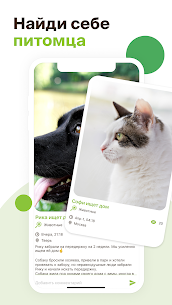ЗооКлик: соцсеть и объявления Mod Apk v1.54.0 free download 1