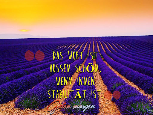 German Good Morning Night Screen 2
