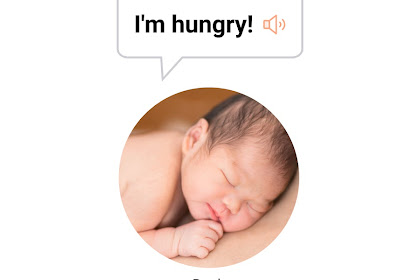 baby talk app translator