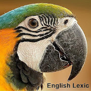 Learn English Vocabulary Lexic