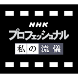 NHK Professional icon