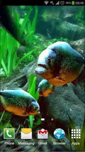 Piranha Aquarium 3D lwp Скриншот