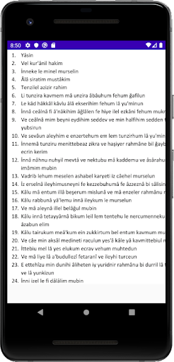 Yasin Suresi Sesli Screen 3