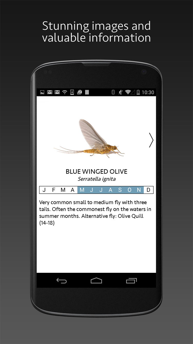 Android application Match A Hatch screenshort
