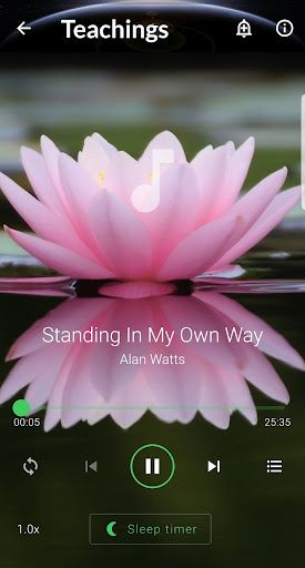 Alan Watts Words of Wisdom