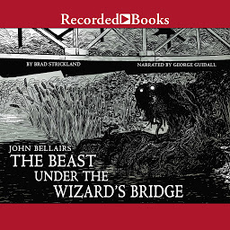 图标图片“The Beast Under the Wizard's Bridge”