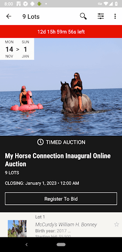 My Horse Connection Screen 2