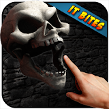 Skull Live Wallpaper 3D icon