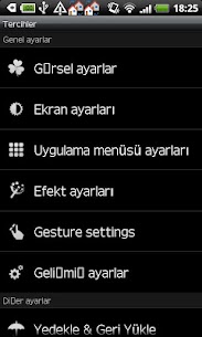 GO Launcher Turkish language For PC installation