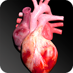 Cover Image of Download Circulatory System 3D Anatomy  APK