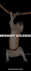 monkey sounds