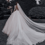 Bridal dresses 2024 icon