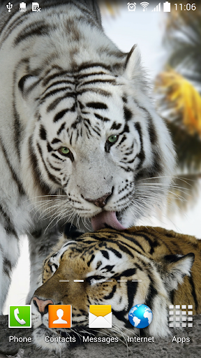 Tiger Live Wallpaper Screen 3