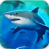 Angry Shark World icon