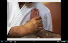 Christian Tissier Aikidoのおすすめ画像5
