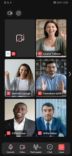 IPVoice Meetings Screen 3