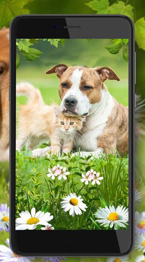 Kitty and Puppy Live Wallpaper