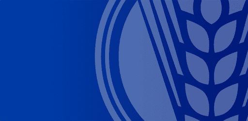 BEES Republica Dominicana