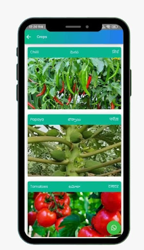 YK LABORATORIES(Organic Pests) Screen 3