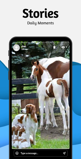 MAGA Hub - Social Media