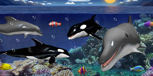 Dolphins and orcas wallpaper