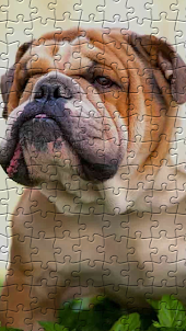 Bulldogs Jigsaw Puzzles
