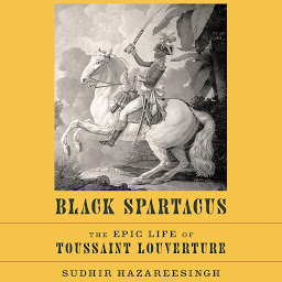 Icon image Black Spartacus: The Epic Life of Toussaint Louverture
