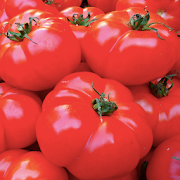 Top 4 House & Home Apps Like Growing Tomatoes - Best Alternatives