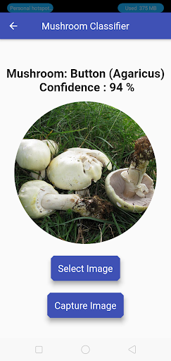 Mushroom Classifier