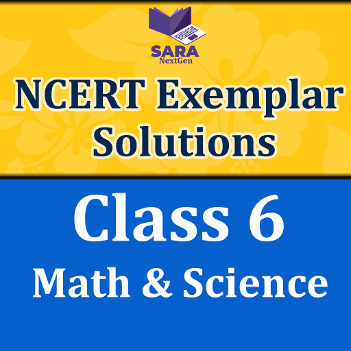 Ncert Exemplar Class 6 Books Download on Windows