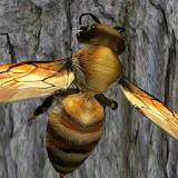 Bee Nest Simulator 3D - Insect and 3d animal game icon