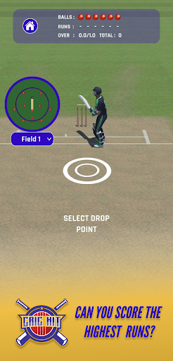 Android application Cric Hit - Mobile cricket game screenshort