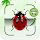 Bug Identifier: Bug Finder