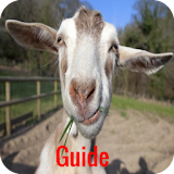 Guide for Nasty Goats icon