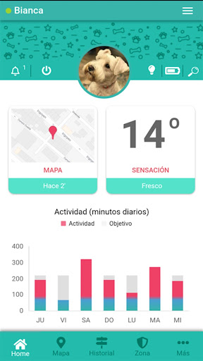 Android application Personal Bipy Mascotas screenshort