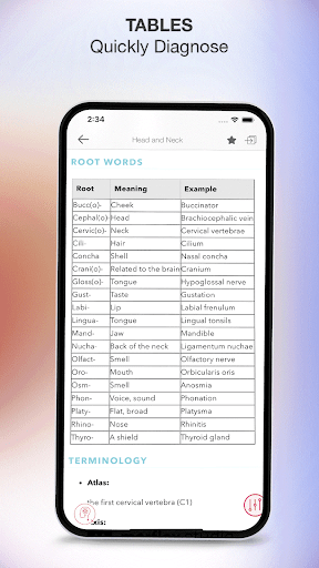 Screenshot of Rapid Review Anatomy Guide