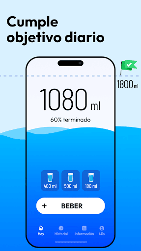 Vista previa de la aplicación