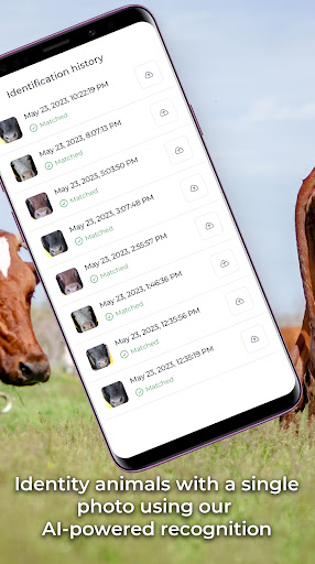 Stoktake Screen 3