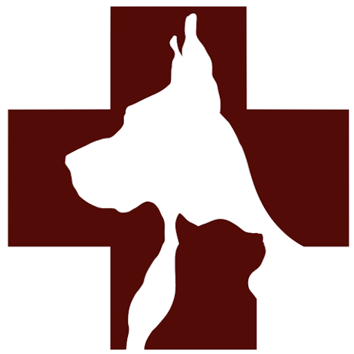Download APK SLPH Latest Version