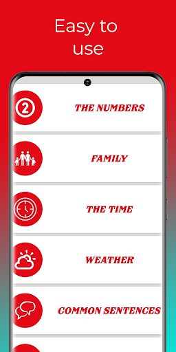 Learn Turkish fast – beginners