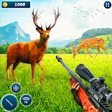 Hunting Clash 3D:Deer Hunting icon