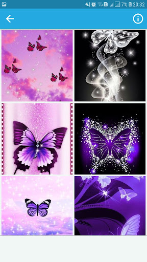 Butterfly Wallpapers HD