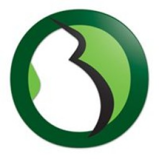 bIOebimbo  Icon