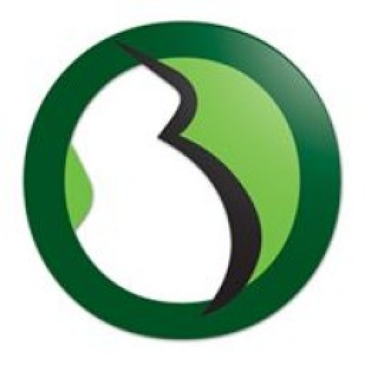 bIOebimbo logo