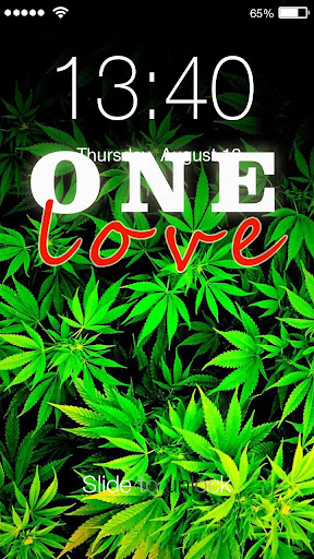 Vista previa de la aplicación