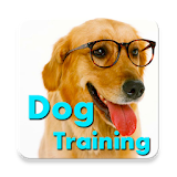 Dog Training Language icon