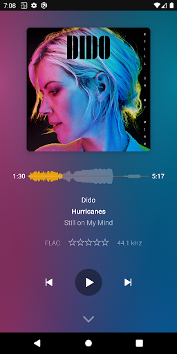 Screenshot of Plexamp