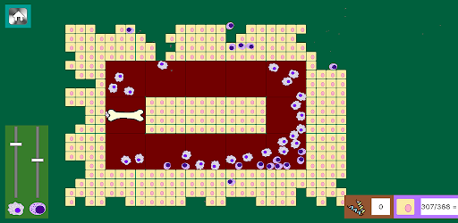 Immune Defence